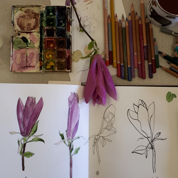 Drawing Flowers with the art class
