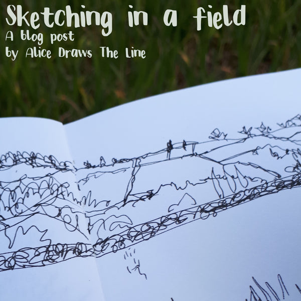 Sketching in a field