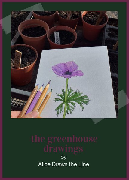 The Greenhouse drawings