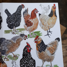 Load image into Gallery viewer, Chickens galore! Greeting Card, Blank inside