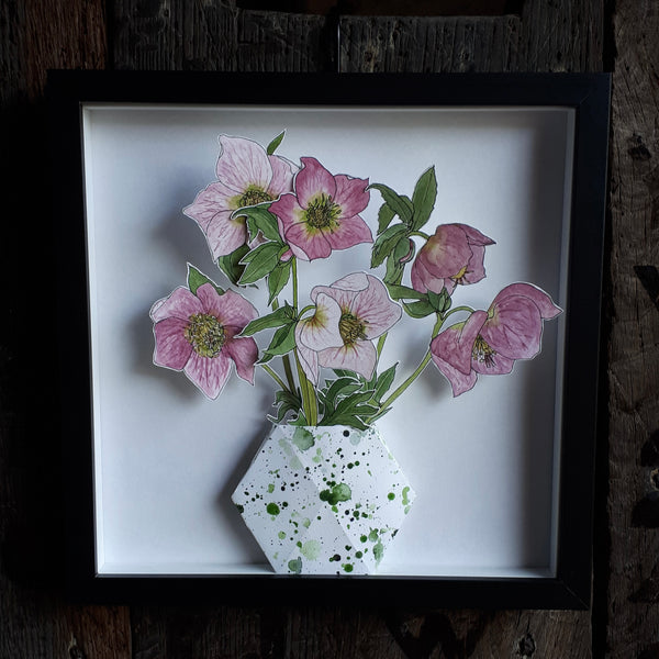 The Hellebores