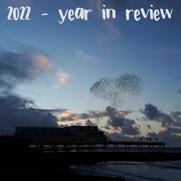 2022- year in review