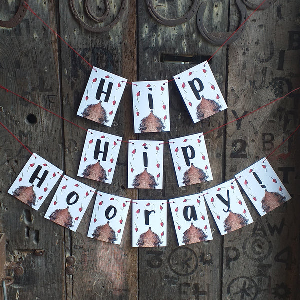 Hip Hip Hooray! Bunting