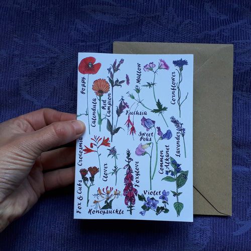 Rainbow Flowers Greeting Card