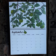 Load image into Gallery viewer, 2024 Botanical wall calendar by Alice Draws the Line