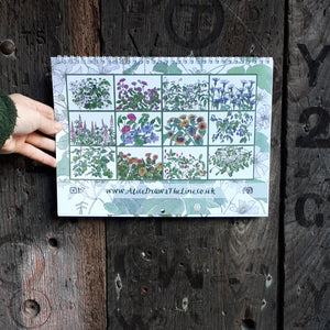 2024 Botanical wall calendar by Alice Draws the Line