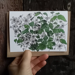 Clematis Card