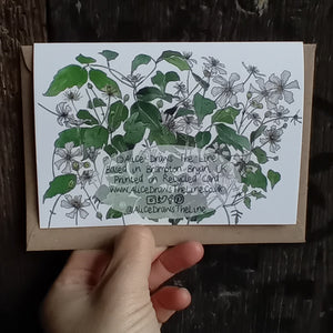 Clematis Card