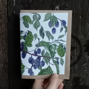 Damsons card by Alice Draws the Line, illustrated damsons