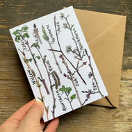 Hey Buddy! Tree Identification Greeting Card