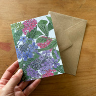 Here are the Hydrangeas! Botanical illustration of hygrangeas by Alice Savery artist behind Alice Draws the Line. Greeting card printed on recycled card in the UK