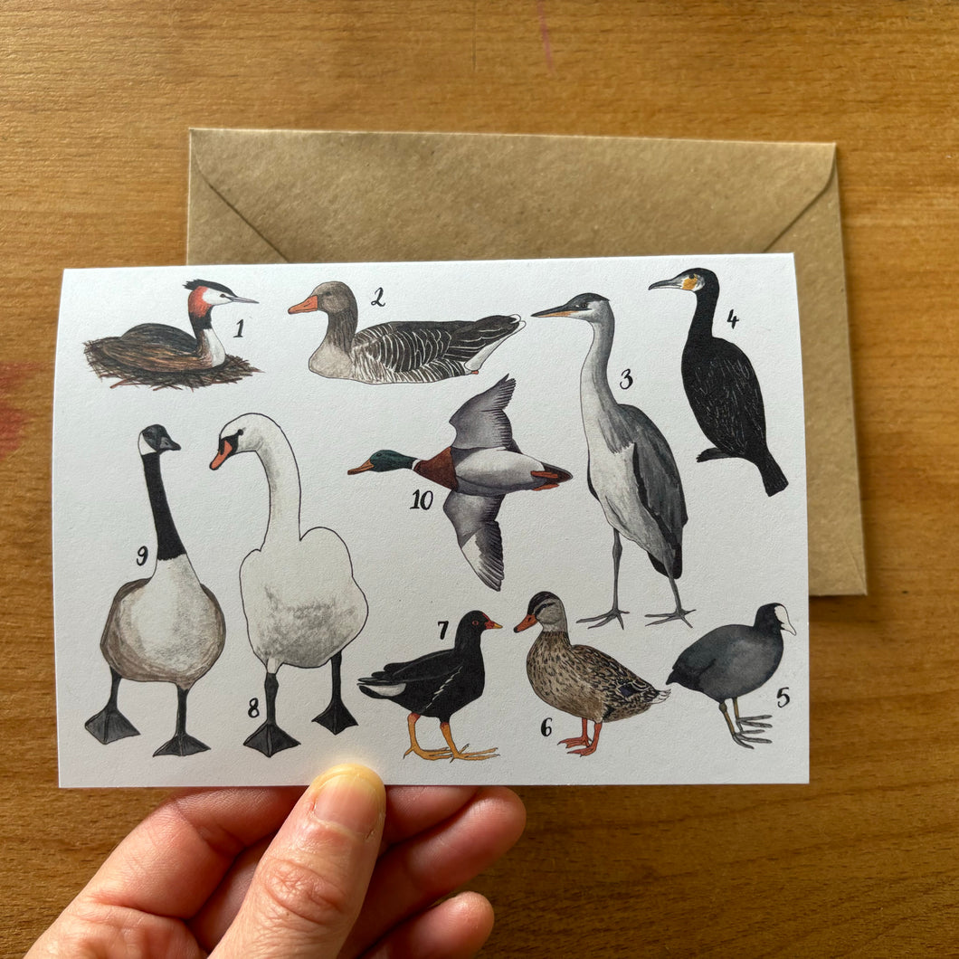 On the Pond - Ducks and Friends Greeting Card