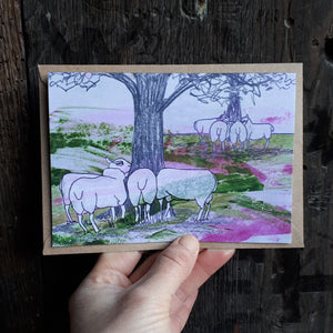 Sheep Card