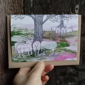Sheep card by Alice Draws the Line
