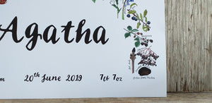 Botanical Rainbow name print by Alice Draws the Line, Birth print, christening print
