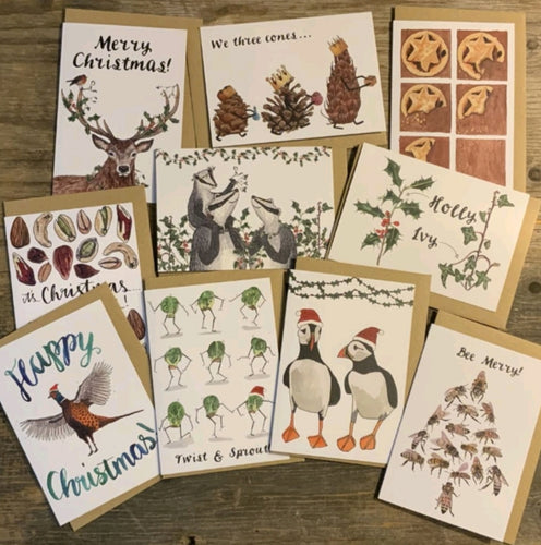 Mixed Christmas Card packs