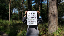 Load image into Gallery viewer, Woodland Alphabet print by Alice Draws The Line, printed on recycled paper, A4 or A3