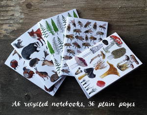 Notebooks by Alice Draws The Line, A6 with 36 plain pages, recycled paper