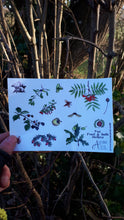 Load image into Gallery viewer, Autumn fruit and seeds sticker sheet by Alice Draws the Line