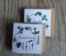 Load image into Gallery viewer, botanical calendar cards by Alice Draws The Line, recycled card, blank inside