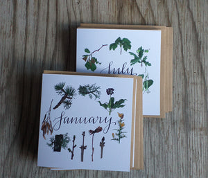 botanical calendar cards by Alice Draws The Line, recycled card, blank inside
