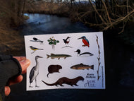 River species sticker sheets by Alice Draws The Line
