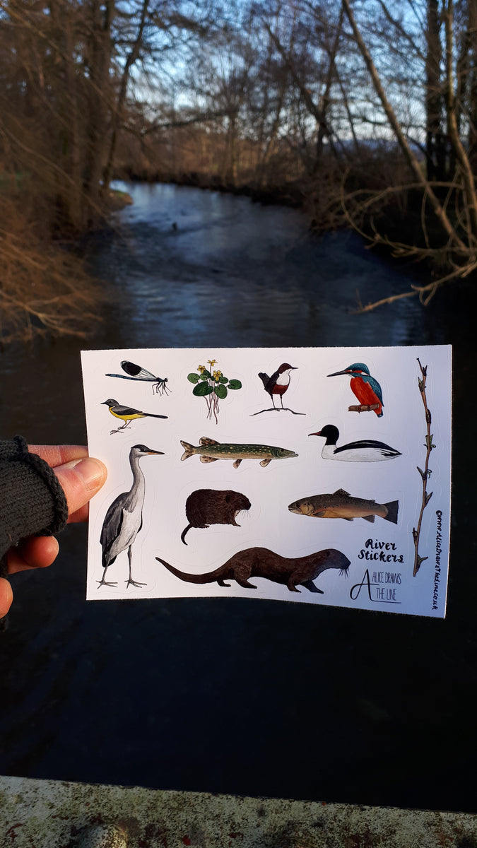 River species sticker sheet by Alice Draws the Line – Alice Draws The Line
