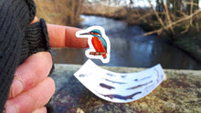 Load image into Gallery viewer, River species sticker sheets by Alice Draws The Line