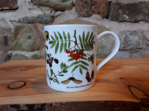 Autumn / Fall China mug by Alice Draws The Line. This is the Autumn / Tree-mendous design with lots of woodland fruit, nuts and seeds.