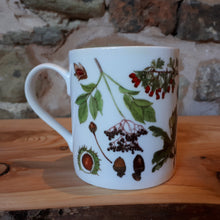 Load image into Gallery viewer, Autumn China mug by Alice Draws The Line, forest gift, enamel mug with Autumn / fall fruits, seeds and nuts