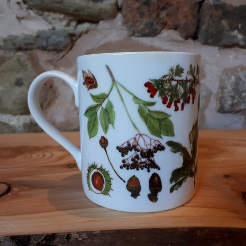 Autumn China mug by Alice Draws The Line, forest gift, enamel mug with Autumn / fall fruits, seeds and nuts