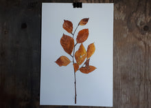 Load image into Gallery viewer, Autumnal Beech leaves  by Alice Draws The Line folded leaf