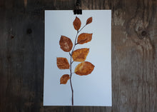 Load image into Gallery viewer, Autumnal Beech leaves by Alice Draws The Line