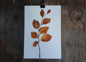 Autumnal Beech leaves by Alice Draws The Line
