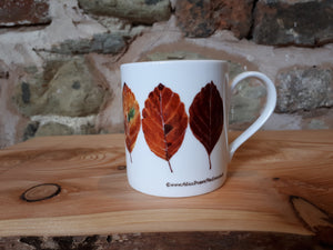 Beech Leaves / Fall Leaves China Mug by Alice Draws The Line
