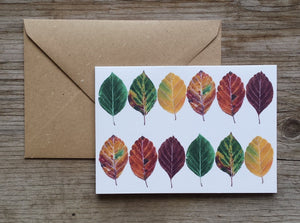 Beech Leaves Greeting card by Alice Draws The Line, fall leaves