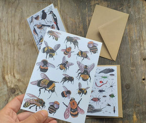 Birds, Bees and Bugs set of 3 greeting cards printed on recycled card, blank inside