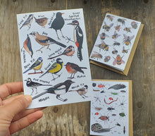 Load image into Gallery viewer, Birds, Bees and Bugs set of 3 greeting cards printed on recycled card, blank inside