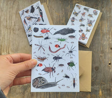 Load image into Gallery viewer, Birds, Bees and Bugs set of 3 greeting cards printed on recycled card, blank inside
