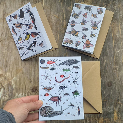 Birds, Bees and Bugs set of 3 greeting cards printed on recycled card, blank inside