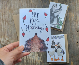 3 card celebratory collection by Alice Draws The Line