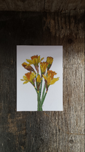 Load image into Gallery viewer, Daffodil print by Alice Draws The Line, botanical illustration art print of a bunch of daffodils