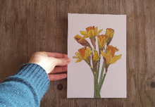 Load image into Gallery viewer, Daffodil print by Alice Draws The Line, botanical illustration art print of a bunch of daffodils