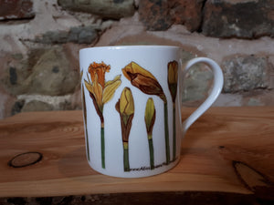 Daffodils China Mug by Alice Draws the Line