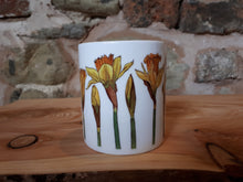 Load image into Gallery viewer, Daffodils China Mug by Alice Draws the Line
