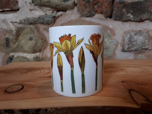 Daffodils China Mug by Alice Draws the Line