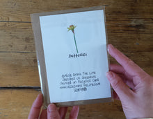 Load image into Gallery viewer, Daffodil Greeting card by Alice Draws the Line, recycled card Easter day