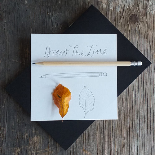 Draw The Line - Beginners Drawing workshop