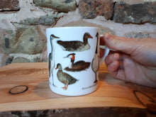 Load image into Gallery viewer, Ducks mug by Alice Draws the Line, a range of pond visitors on a China mug