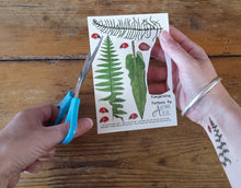 Load image into Gallery viewer, Ferns, Bracken and Ladybirds temporary tattoos by Alice Draws The Line